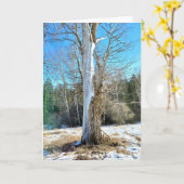 5"x7" Faltkarte | Sunny Cottonwood Karte (Gelbe Blume)