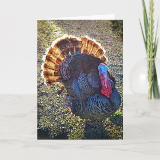 5"x7" Faltkarte | Sunrise Thomas Karte (Vorderseite)