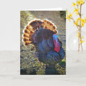 5"x7" Faltkarte | Sunrise Thomas Karte (Gelbe Blume)