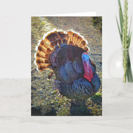 5"x7" Faltkarte | Sunrise Thomas Karte