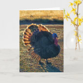 5"x7" Faltkarte | Thomas a-Struttin" Karte (Gelbe Blume)