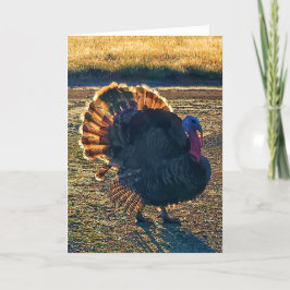 5"x7" Faltkarte | Thomas a-Struttin" Karte