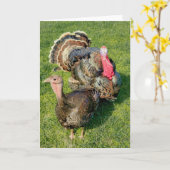 5"x7" Faltkarte | Thomas & Henrietta Karte (Gelbe Blume)