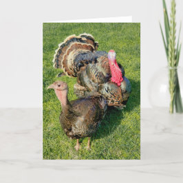 5"x7" Faltkarte | Thomas & Henrietta Karte