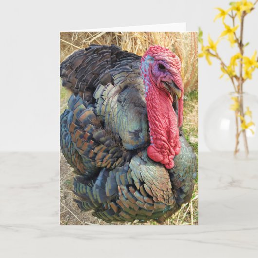 5"x7" Faltkarte | Thomas im Strohhalm Karte (Gelbe Blume)