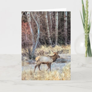 5"x7" Klappkarte Bull Elch Karte
