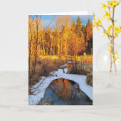 5"x7" Klappkarte| | Creek Reflection 2 Karte (Gelbe Blume)