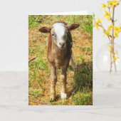 5"x7" Klappkarte| | Lambie Karte (Gelbe Blume)
