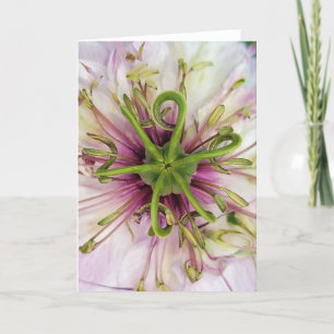 5"x7" Klappkarte    Liebe-in-A-Mist Karte