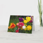 5" x 7" geklappte Grußkarte Karte (Vorderseite)