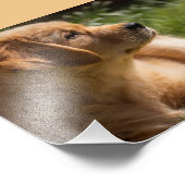 5 x 7 High-Definition-Namen Fotodruck (Ecke)