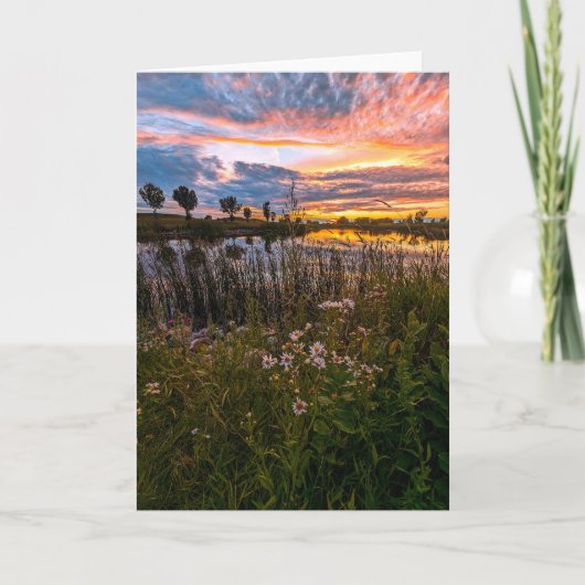 5 x 7 Set für leere Notizkarte (Vorderseite)