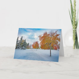 5 x 7 Set für leere Notizkarte