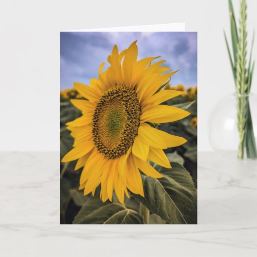 5 x 7 Set für leere Notizkarte (Vorderseite)