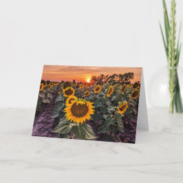 5 x 7 Set für leere Notizkarte