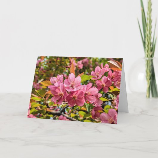 5 x 7 Set für leere Notizkarte (Vorderseite)