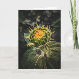 5 x 7 Set für leere Notizkarte