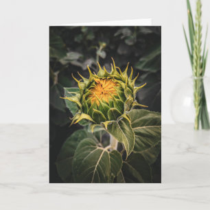 5 x 7 Set für leere Notizkarte