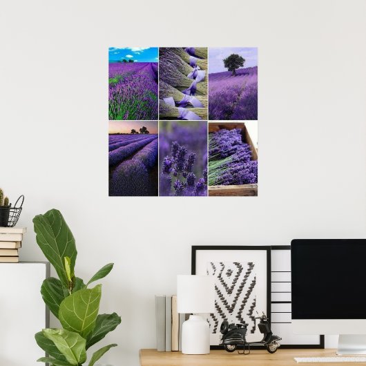 60.96x60.96cm Lavendel zu postieren (matt) Poster (Heimbüro)