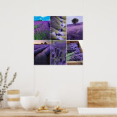60.96x60.96cm Lavendel zu postieren (matt) Poster (Küche)