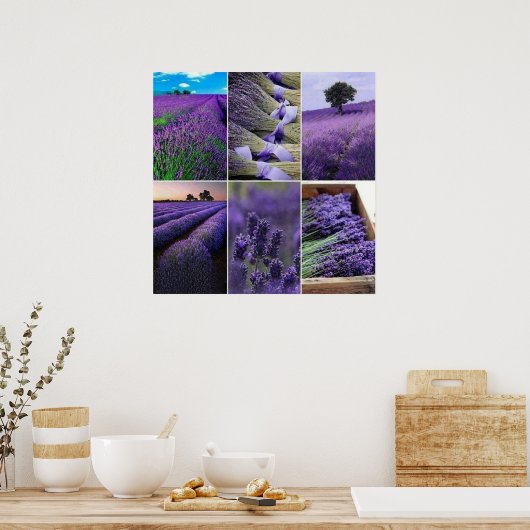 60.96x60.96cm Lavendel zu postieren (matt) Poster (Küche)