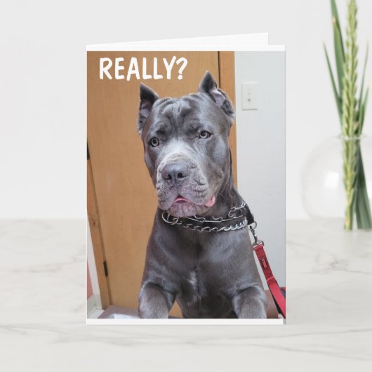 ***60*** AND YOU STILL LOOK "FANTASIC" BIRTHDAY C KARTE (Vorderseite)