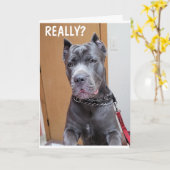 ***60*** AND YOU STILL LOOK "FANTASIC" BIRTHDAY C KARTE (Gelbe Blume)