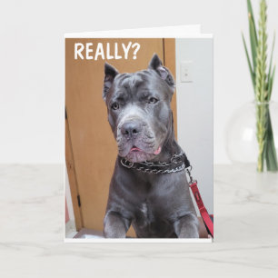 ***60*** AND YOU STILL LOOK "FANTASIC" BIRTHDAY C KARTE