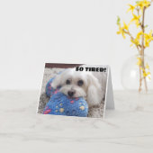 *60. BIRTHDAY* HA HA (FUNNY DOG SPASS) KARTE (Gelbe Blume)