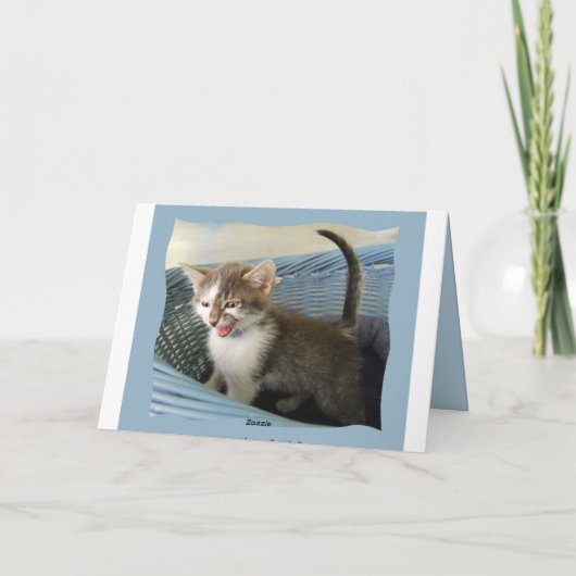 60. Geburtstag Crazy Kitten Karte (Rückseite)