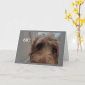 *60. GEBURTSTAG* SCHOCKIERTER HUND SAGT GLÜCKLICH KARTE (Gelbe Blume)