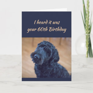 60. Geburtstag Spaß Niedlich Black Curly Dog Pet Karte
