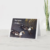 **60. GEBURTSTAG** STAUBEN FÜR "SIE" KARTE (Vorderseite)