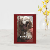 **60. GEBURTSTAG WÜNSCHT VON DER COMEDIC SPANIEL** KARTE (Gelbe Blume)