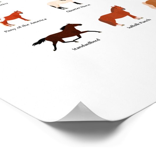 60 Pferderassen-Diagramm Poster (Ecke)
