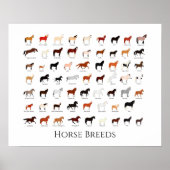 60 Pferderassen-Diagramm Poster (Vorne)