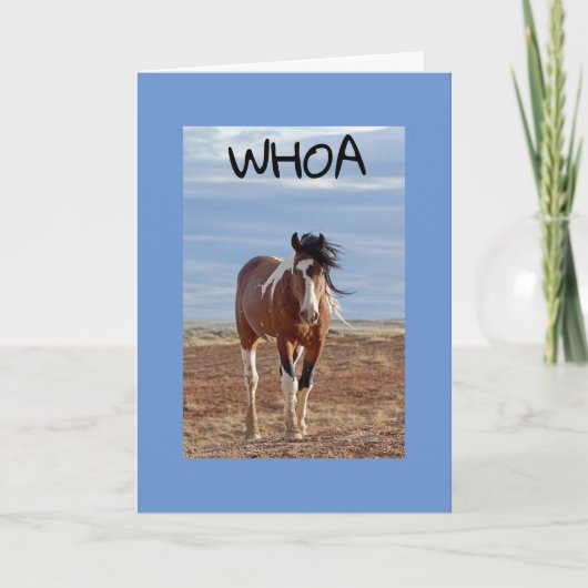 **60. & SIE SIND FABULOUS WIE GEWÖHNLICH KARTE (Vorderseite)