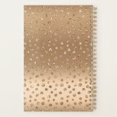 60 und fabelhaftes Glam Girly Gold Black Blush Pin Planer (Rückseite)