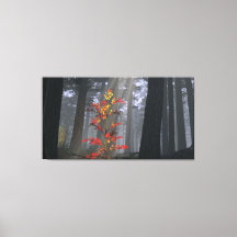 60" x 40" Leinwand mit "Fledgling" Bild