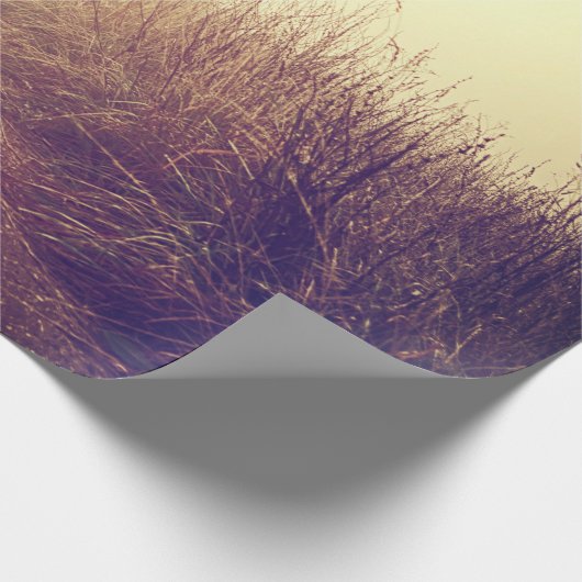 60lb Wrapping Paper Roll Sunrise Pathway Walkway P Geschenkpapier (Ecke)