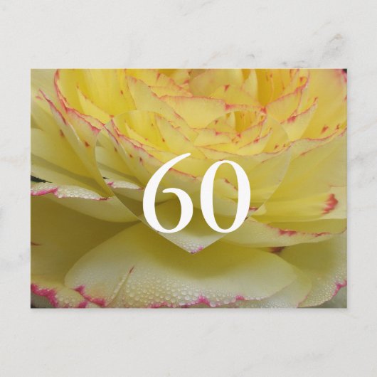 60th Birthday Postkarte (Vorderseite)