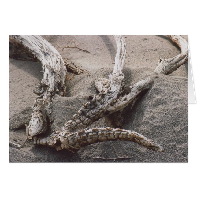 61. Hölzernacker (Vorderseite (Horizontal))