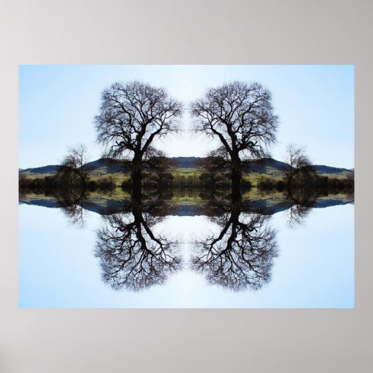62914 Fraktal Trees Poster (Vorne)