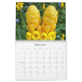 637, 2009 Meer-Kalender Kalender (Mär 2027)