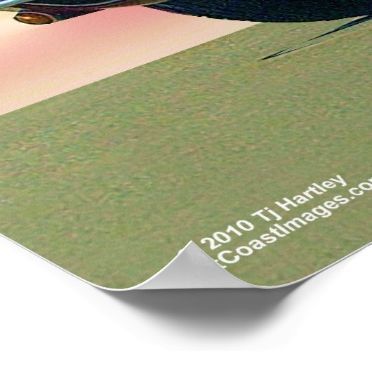 "63 CORVETTE POSTER (Ecke)