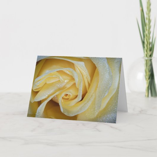 6557-Gelbe Rose mit Taub Karte (Vorderseite)