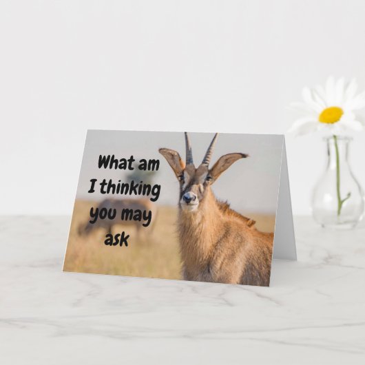 "65th BIRTHDAY HUMOR VIA ANTELOPE Card Karte (Kleine Pflanze)