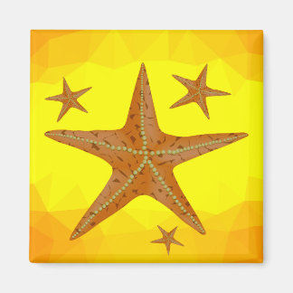 6616Starfish Magnet