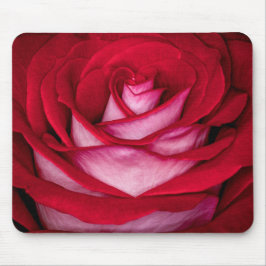 6621-Rot, Weiß und Rosa Mousepad
