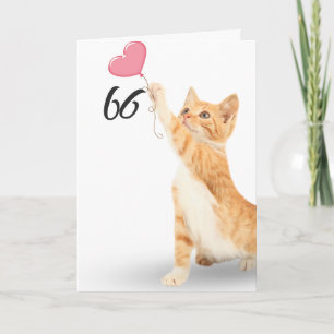66. Geburtstag Katze mit getigertem Fell Karte